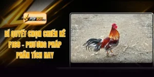 Bí Quyết Chọn Chiến Kê F168 - Phương Pháp Phân Tích Hay