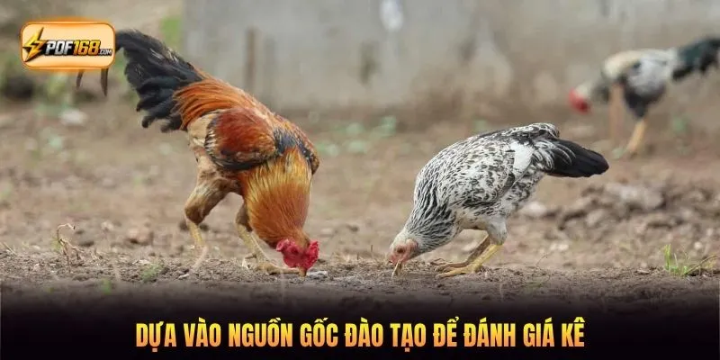 Dựa vào nguồn gốc đào tạo để đánh giá kê
