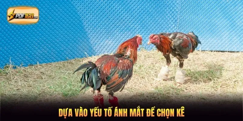 Dựa vào yếu tố ánh mắt để chọn kê