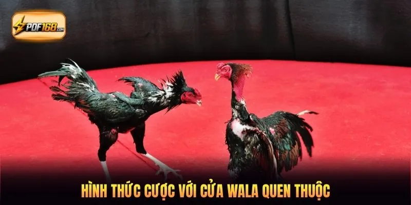 Hình thức cược với cửa Wala quen thuộc