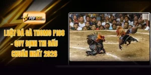 Luật Đá Gà Thomo F168 - Quy Định Thi Đấu Chuẩn Nhất 2026
